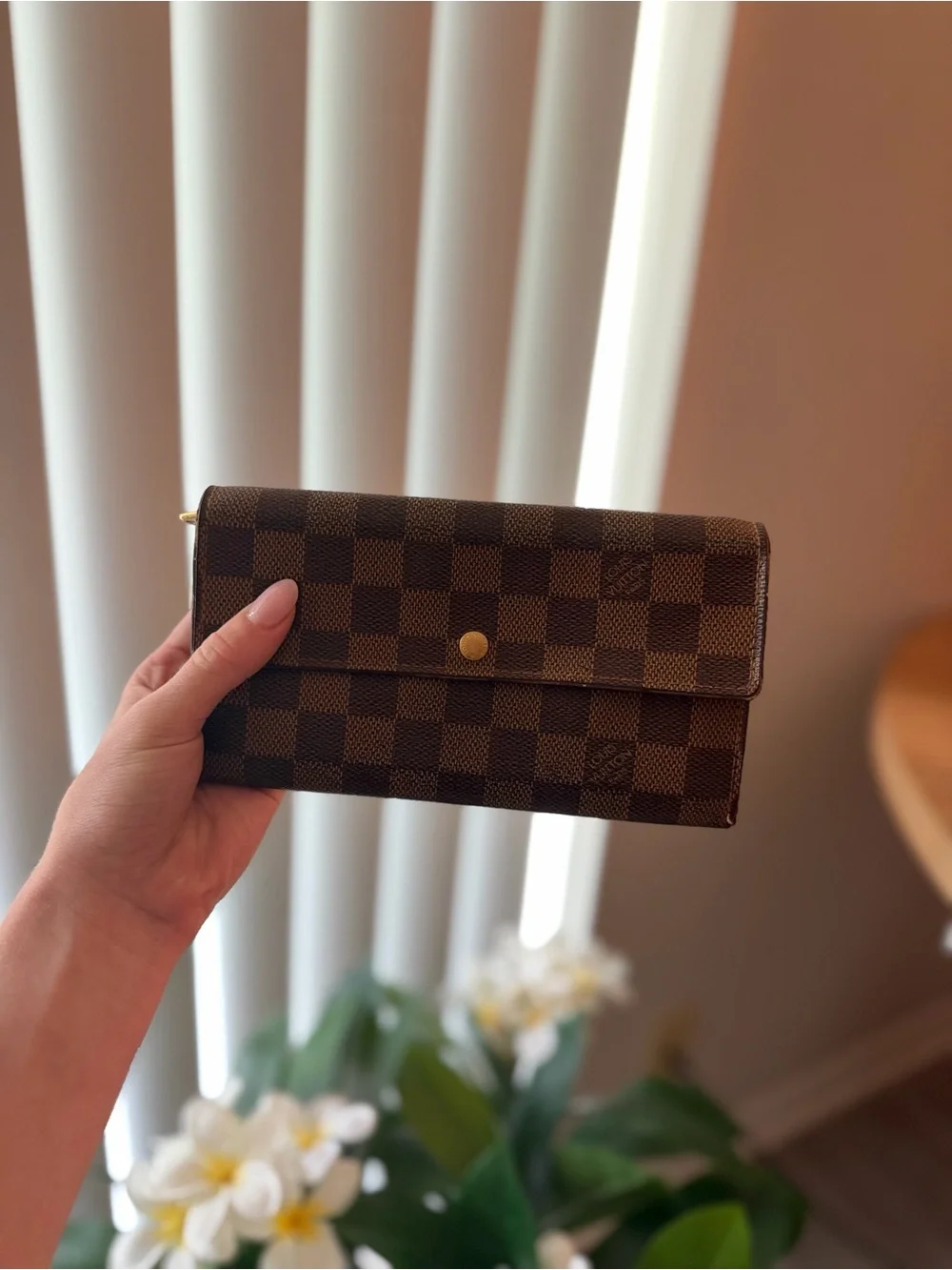 Louis Vuitton Epene Damier Women's Wallet Clutch